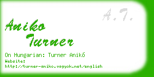 aniko turner business card